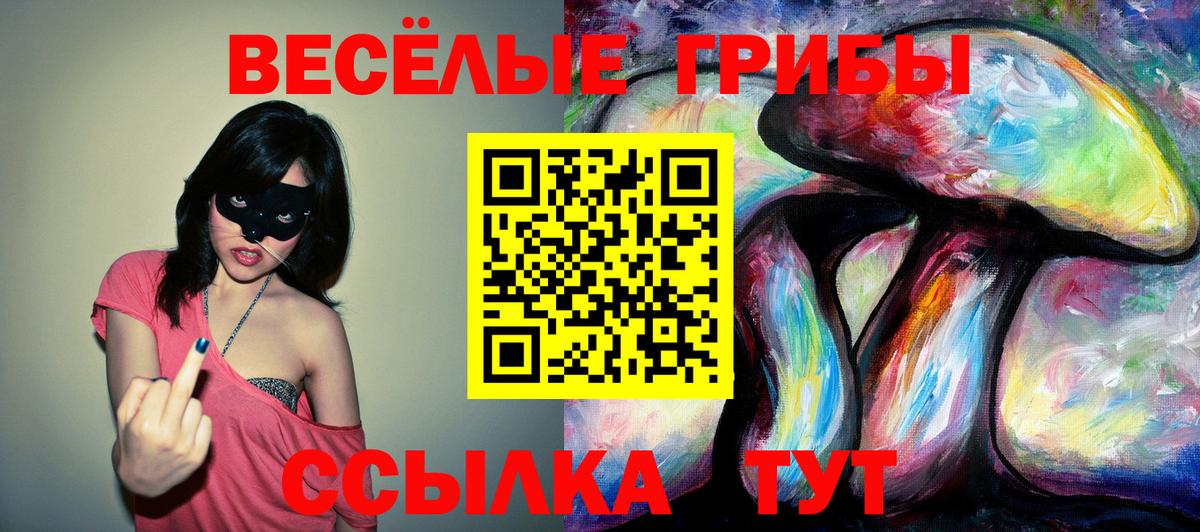 Галлюциногенные грибы Psilocybine cubensis Лыткарино